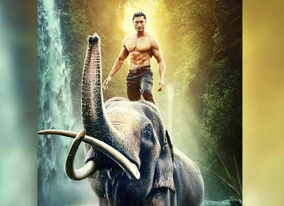 हाथी मेरे साथी से लेकर जंगली तक, सिल्वर स्क्रीन पर दिखी इंसान की हाथी से दोस्ती