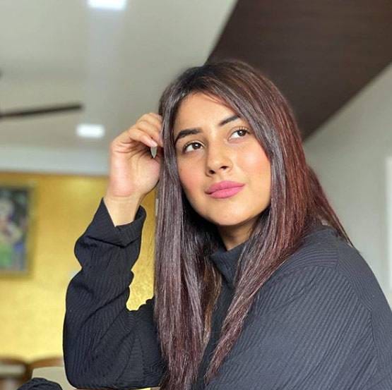 अंग्रेजी में हाथ तंग फिर भी दनादन लिख रहीं कैप्शन, शहनाज गिल ने बताया कैसे