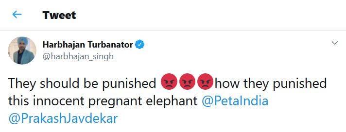 गर्भवती हथिनी को खिलाया था पटाखों से भरा अनानास, रोहित का गुस्सा फूटा