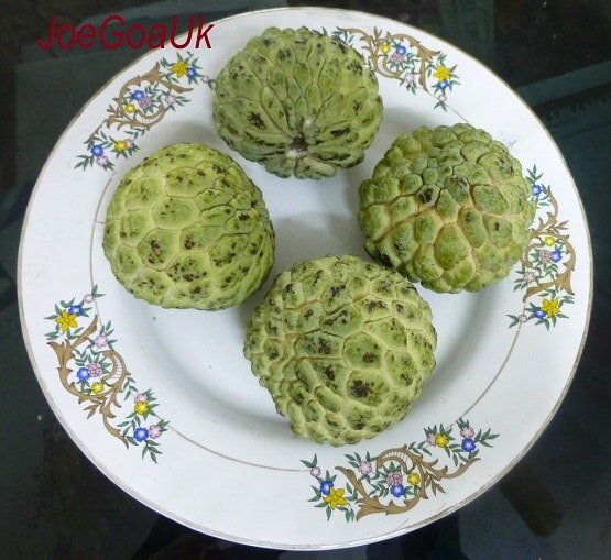 ये हैं दुनिया के पांच सबसे हेल्दी फूड, स्वस्थ रहना है तो आजमाइए