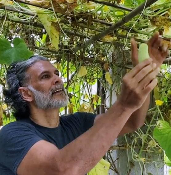 घर पर रहकर सब्जियां उगा रहे मिलिंद सोमन, खुद को बताया- दाढ़ी वाला किसान