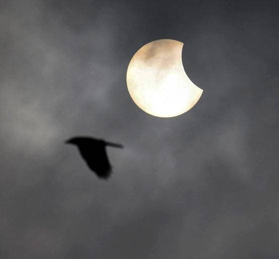 जल्द लगने वाला है साल का पहला सूर्य ग्रहण, इस वजह से होगा खास