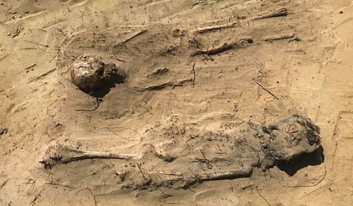 सड़क बनाने हो रही खुदाई में निकलीं खोपड़ियां, मिले 100 कंकाल