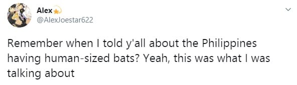 इस देश में इंसान के आकार के दिखे चमगादड़, डरकर भागने लगे लोग