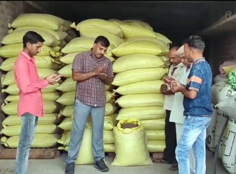 काले गेहूं की खेती के आइडिया ने बदली किसान की किस्मत, कमा रहा लाखों