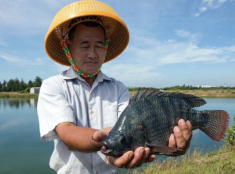 चीन में शख्स के मलाशय से पेट तक चली गई मछली, डॉक्टर भी हो गए हैरान