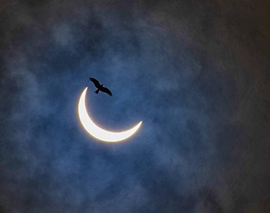 सूर्य ग्रहण: आसमान में दिखा 'रिंग ऑफ फायर' का शानदार नजारा