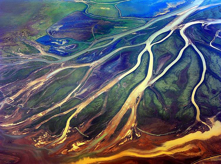 चीन बोला-अमेरिका ने हमारे यहां फैलाए 'एलियन' वायरस, पर्यावरण को खतरा