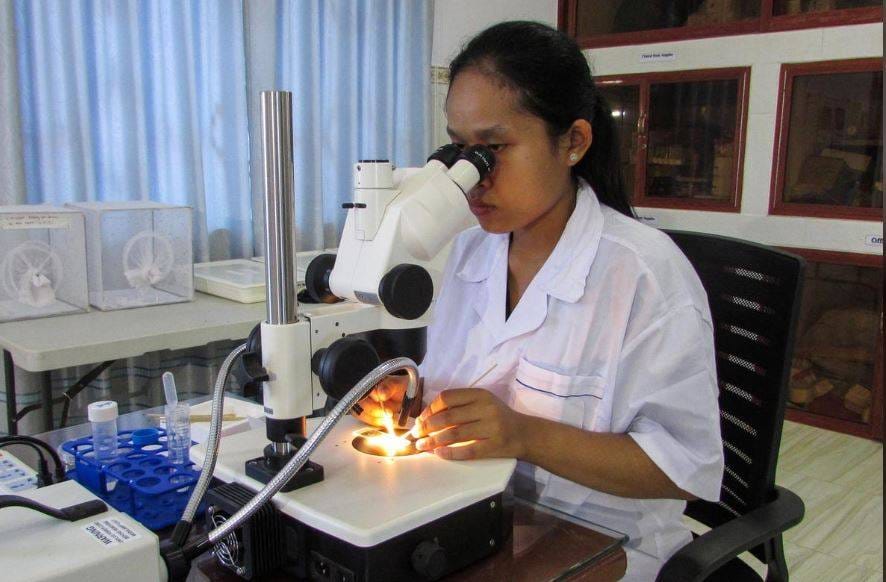 स्टडी: अब मच्छर की लार से बनेगी वैक्सीन, कई बीमारियों से मिलेगा छुटकारा