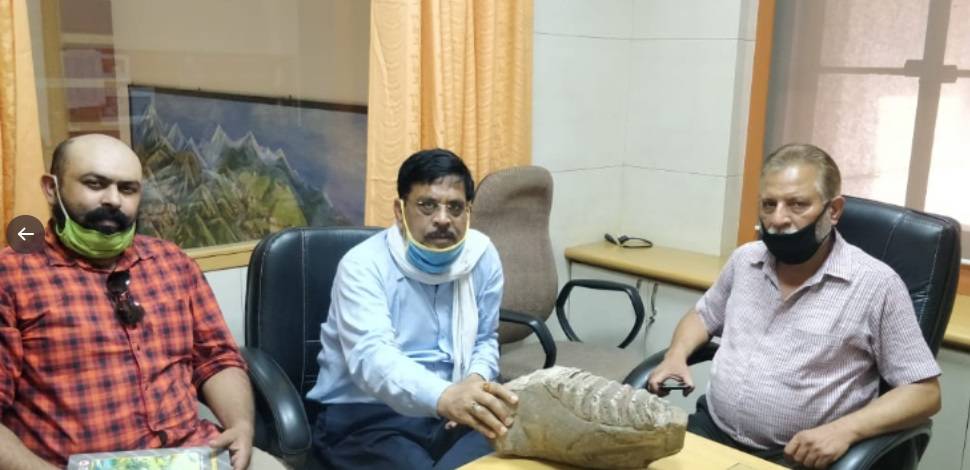 शिवालिक के जंगल में मिला 50 लाख साल पुराना हाथी का जबड़ा