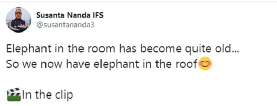 घर की छत पर टहलता दिखाई दिया हाथी, लोग बोले- अब उतरेगा कैसे