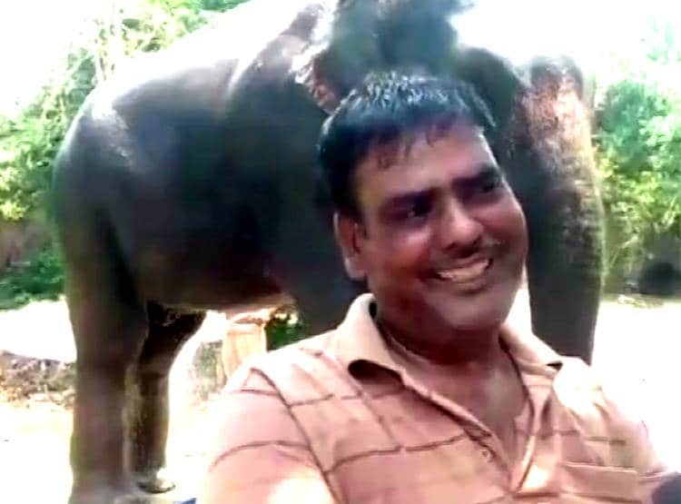 जान बचाई तो बिहार के इस शख्स ने हाथियों के नाम की 5 करोड़ की संपत्ति