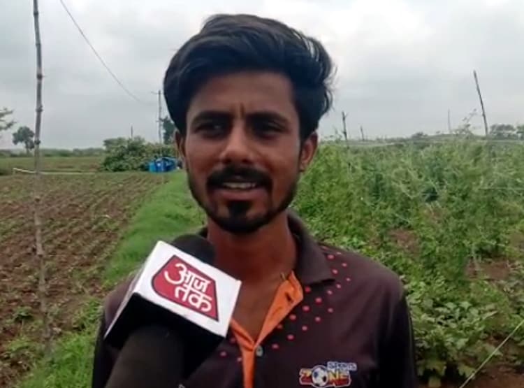 एक हजार की लागत से किसान ने कमाए 40 हजार, गूगल से सीखी जैविक खेती