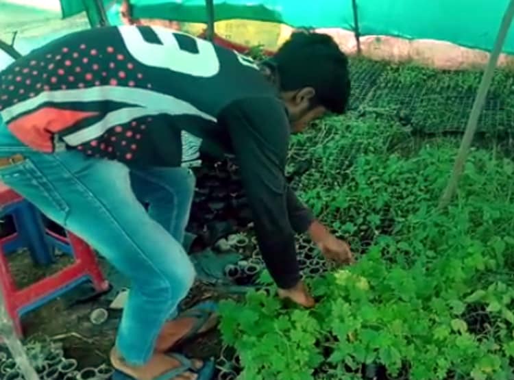 एक हजार की लागत से किसान ने कमाए 40 हजार, गूगल से सीखी जैविक खेती