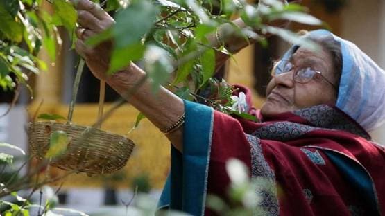 गुलाबो सिताबो: अमिताभ-आयुष्मान से ज्यादा बेगम के चर्चे, कौन हैं फारुख जफर?
