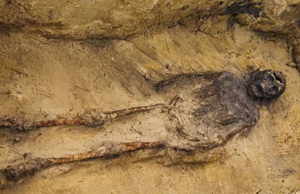 सड़क बनाने हो रही खुदाई में निकलीं खोपड़ियां, मिले 100 कंकाल