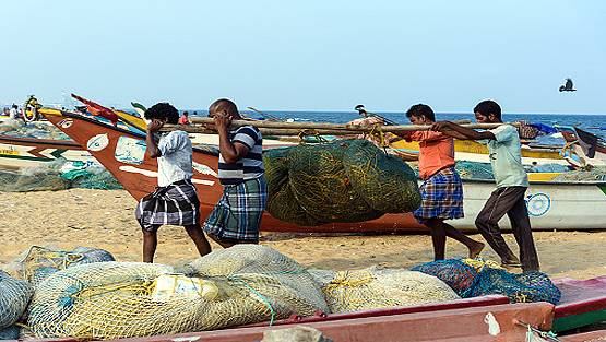 मछुआरों के जाल में फंसे चाय पत्ती के डिब्बे, अंदर मिली 230 करोड़ रु. की ये चीज