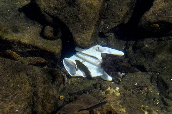 खतरनाक है पीपीई किट्स-ग्लव्ज, समुद्र में पहुंच रहीं इस्तेमाल हुई चीजें