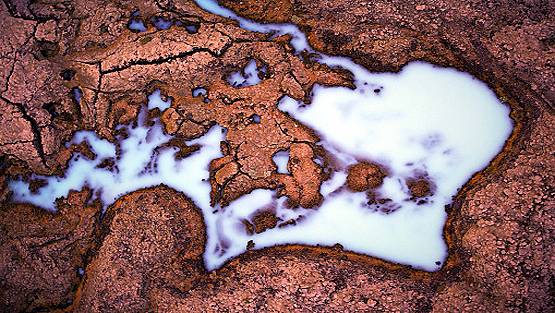 चीन बोला-अमेरिका ने हमारे यहां फैलाए 'एलियन' वायरस, पर्यावरण को खतरा