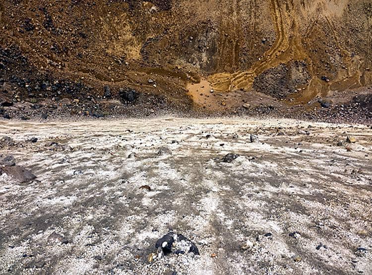 चीन बोला-अमेरिका ने हमारे यहां फैलाए 'एलियन' वायरस, पर्यावरण को खतरा