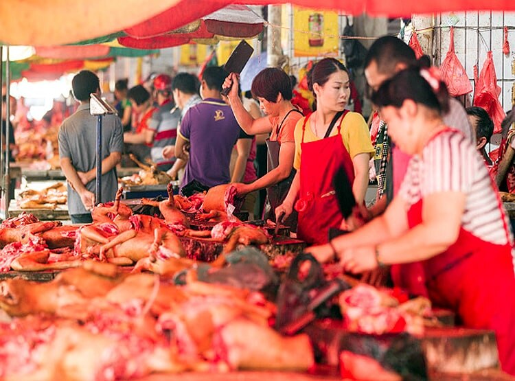 चीनी भूले कोरोना वायरस का खौफ, डॉग मीट फेस्टिवल फिर हुआ शुरू