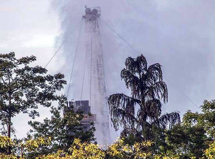 तेल के कुएं से हुई लीकेज से इस नेशनल पार्क में मची तबाही, मर गईं सैकड़ों मछलियां