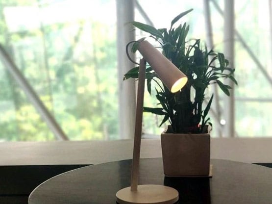 हमारे जीवन में यूं घुसे हैं चीनी प्रोडक्ट, जान कर रह जाएंगे चकित