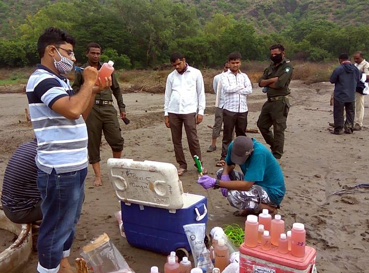 हरी से गुलाबी हो गई झील, वैज्ञानिकों ने सैंपल लेकर कही ये बड़ी बात