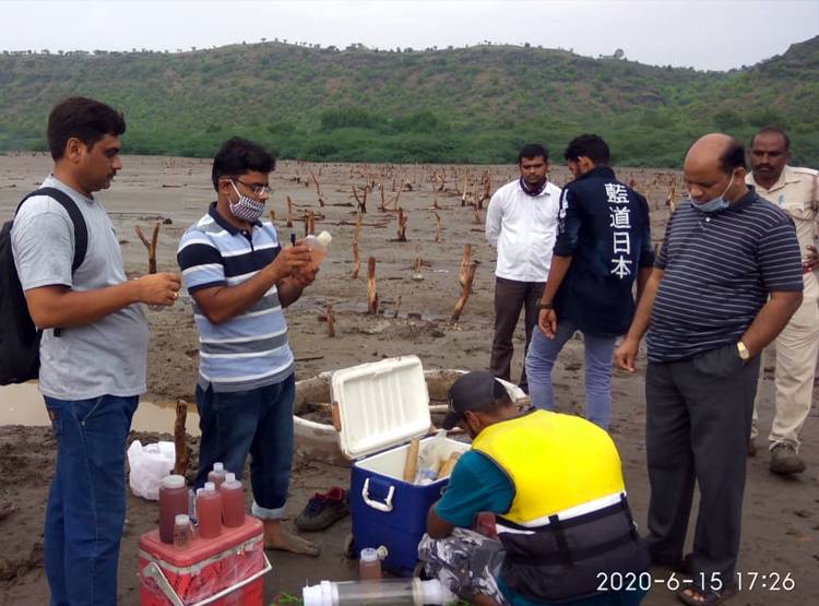 हरी से गुलाबी हो गई झील, वैज्ञानिकों ने सैंपल लेकर कही ये बड़ी बात