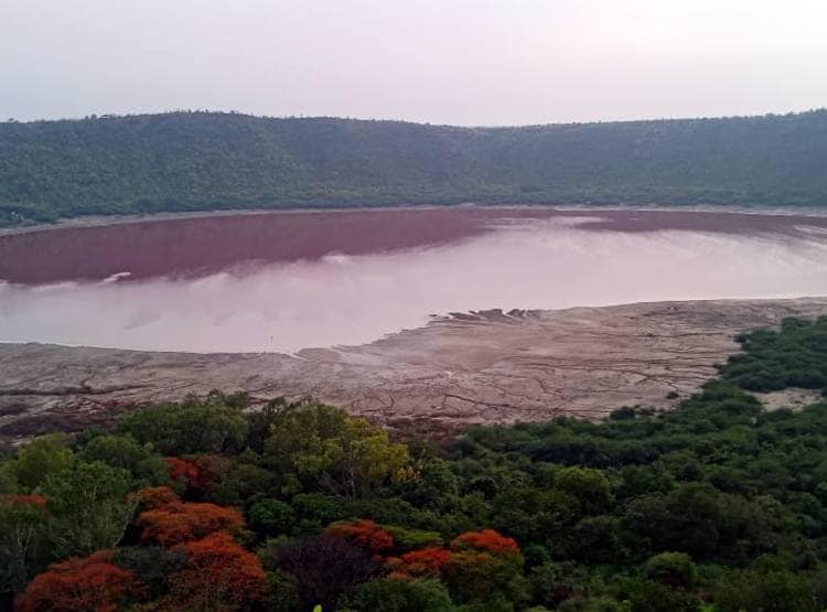 हरी से गुलाबी हो गई झील, वैज्ञानिकों ने सैंपल लेकर कही ये बड़ी बात
