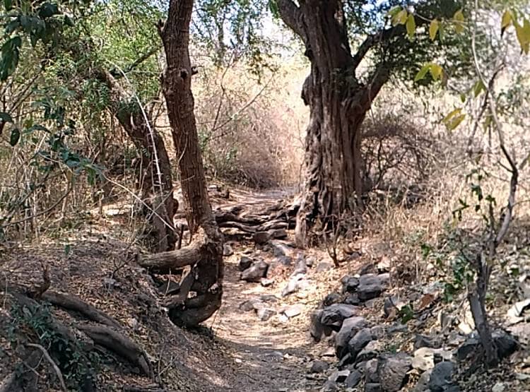 उल्का पिंड से बनी झील का पानी हुआ लाल, आम दिनों में दिखती है ऐसी