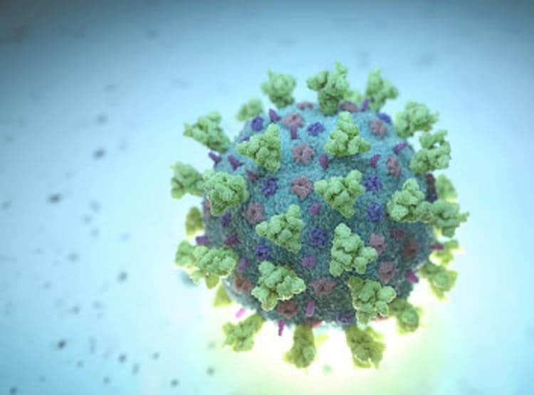 21 जून को सूर्यग्रहण पर खत्म हो जाएगा कोरोना, वैज्ञानिक का दावा