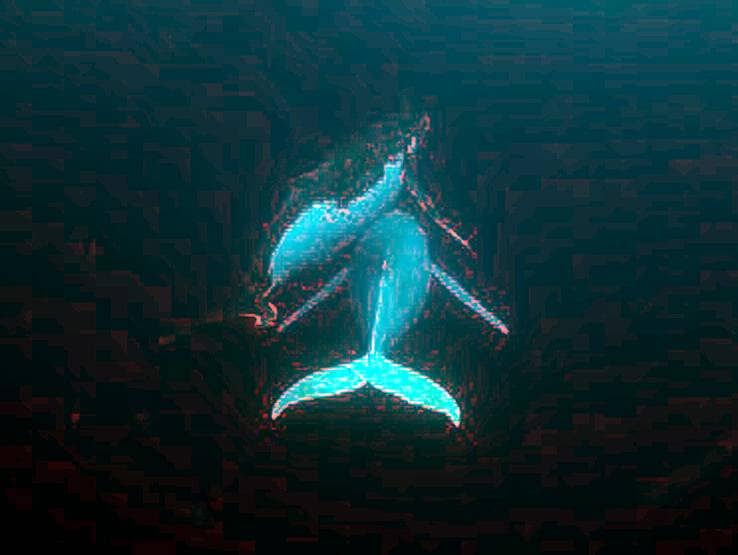 29 साल बाद ऑस्ट्रेलिया के समुद्र में दिखी दुर्लभ सफेद व्हेल