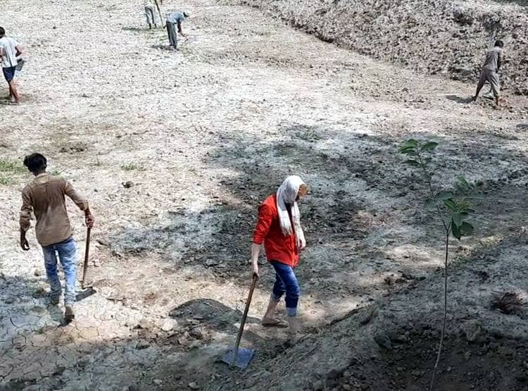 मनरेगा में फावड़ा चला रहे बीए-एमए डिग्री धारक, 201 रुपये रोज है मजदूरी