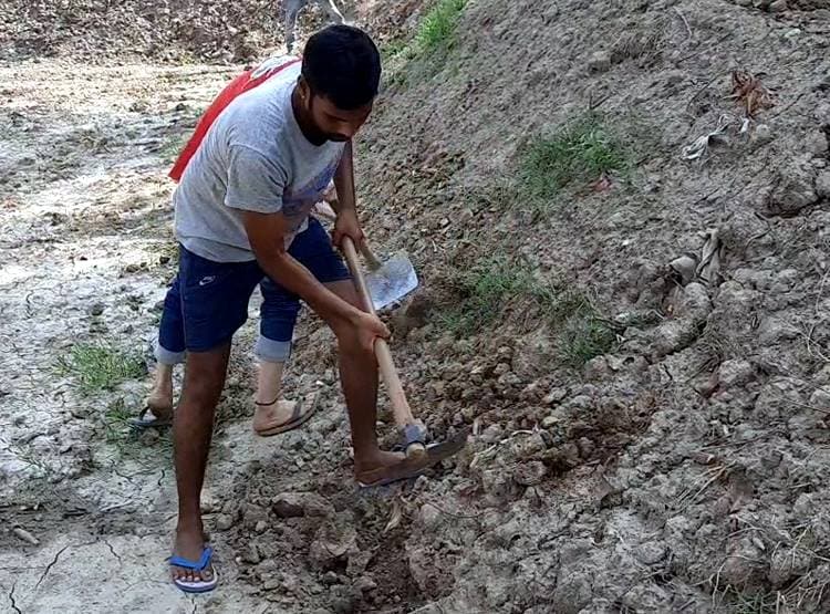 मनरेगा में फावड़ा चला रहे बीए-एमए डिग्री धारक, 201 रुपये रोज है मजदूरी