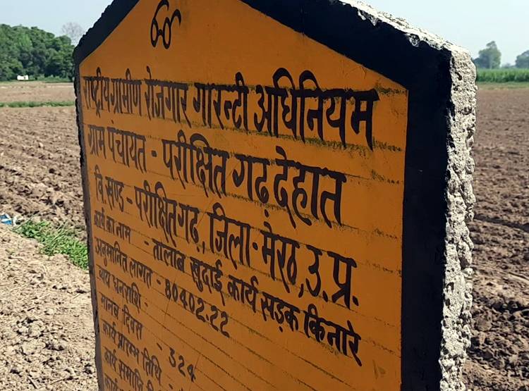 मनरेगा में फावड़ा चला रहे बीए-एमए डिग्री धारक, 201 रुपये रोज है मजदूरी