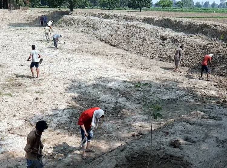 मनरेगा में फावड़ा चला रहे बीए-एमए डिग्री धारक, 201 रुपये रोज है मजदूरी