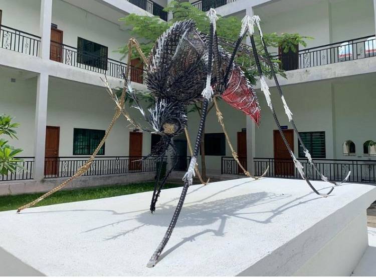 स्टडी: अब मच्छर की लार से बनेगी वैक्सीन, कई बीमारियों से मिलेगा छुटकारा