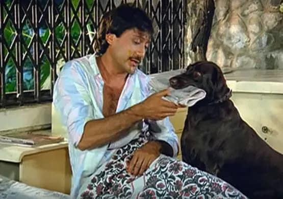 जब फिल्मी पर्दे पर छाए बेजुबान जानवर, फैंस को खूब पसंद आई इनकी कलाकारी