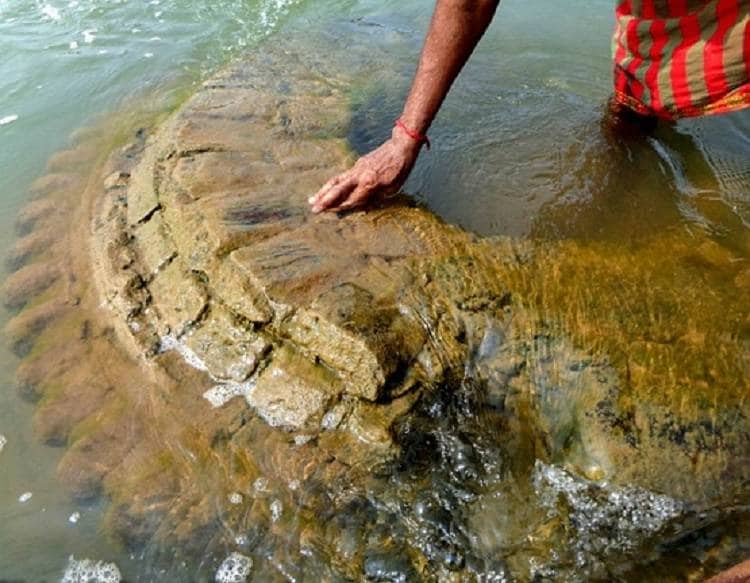 नदी में उभरे 500 साल पुराने मंदिर की क्या है कहानी, देखने उमड़े लोग