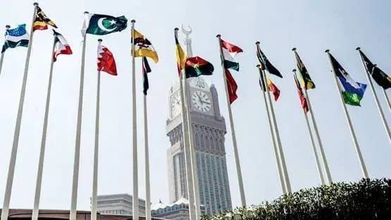 चीन से तनाव के बीच OIC ने कश्मीर पर बुलाई बैठक, ये देश हुए शामिल