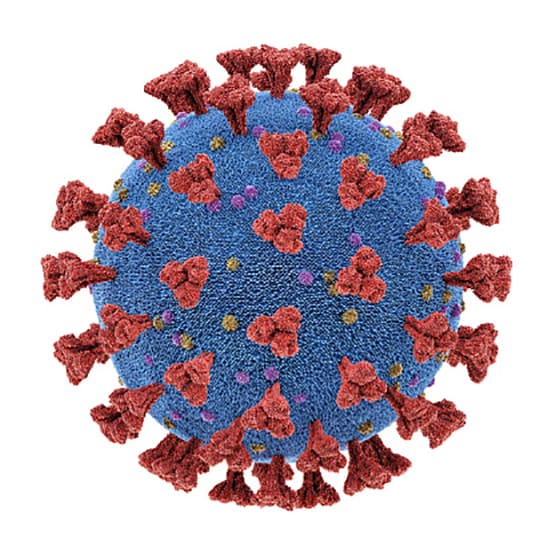 क्या रूप बदल रहा कोरोना जिससे बेकार हो जाएगी वैक्सीन?