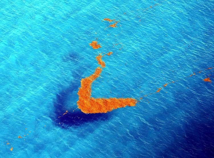 चीन बोला-अमेरिका ने हमारे यहां फैलाए 'एलियन' वायरस, पर्यावरण को खतरा