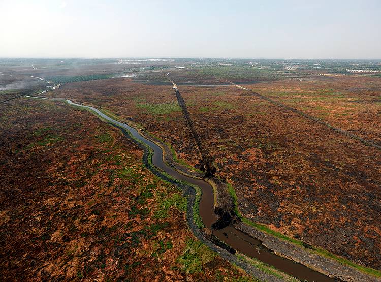 चीन बोला-अमेरिका ने हमारे यहां फैलाए 'एलियन' वायरस, पर्यावरण को खतरा