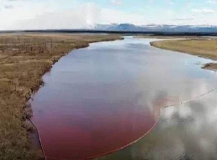 तेल रिसाव पर भड़के पुतिन, कारोबारी से पूछा- क्यों ना वसूला जाए सारा पैसा