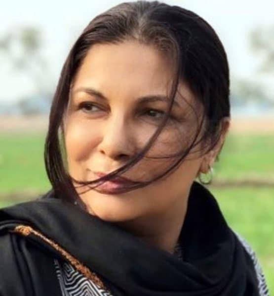 कोरोना की चपेट में आ चुके 8 पाकिस्तानी सेलेब्स, बताया क्या ले रहे ट्रीटमेंट