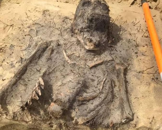 सड़क बनाने हो रही खुदाई में निकलीं खोपड़ियां, मिले 100 कंकाल