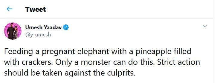 गर्भवती हथिनी को खिलाया था पटाखों से भरा अनानास, रोहित का गुस्सा फूटा