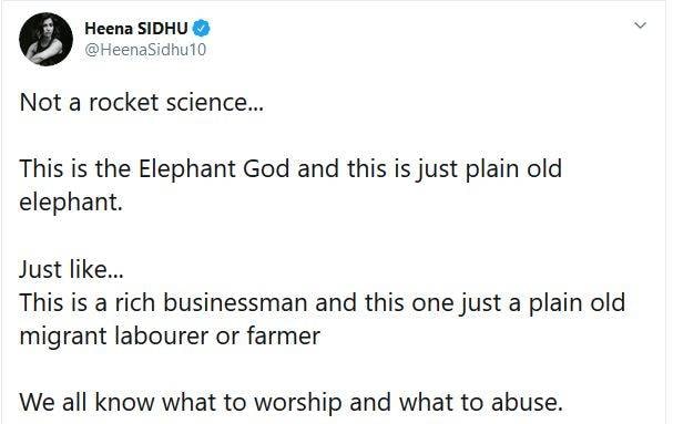 गर्भवती हथिनी को खिलाया था पटाखों से भरा अनानास, रोहित का गुस्सा फूटा