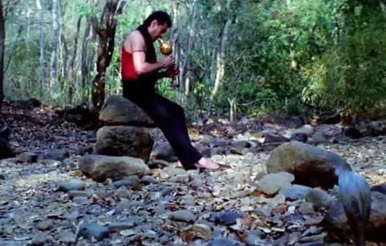 जब फिल्मी पर्दे पर छाए बेजुबान जानवर, फैंस को खूब पसंद आई इनकी कलाकारी